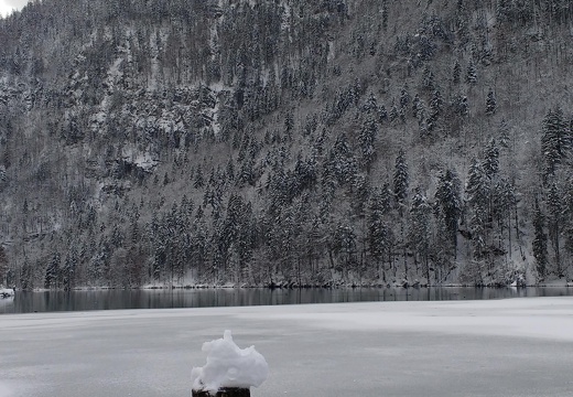 IMG 20170115 133548901